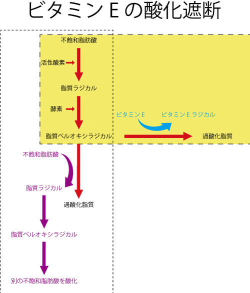 ビタミンE、活性酸素、アンチエイジング、子宮内膜、体質改善、不妊