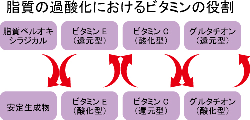 抗酸化、不妊、アンチエイジング